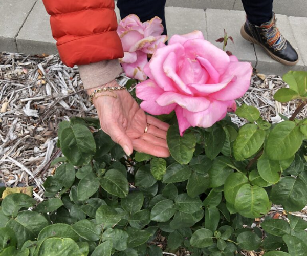 19