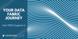 Data Fabric Journey
